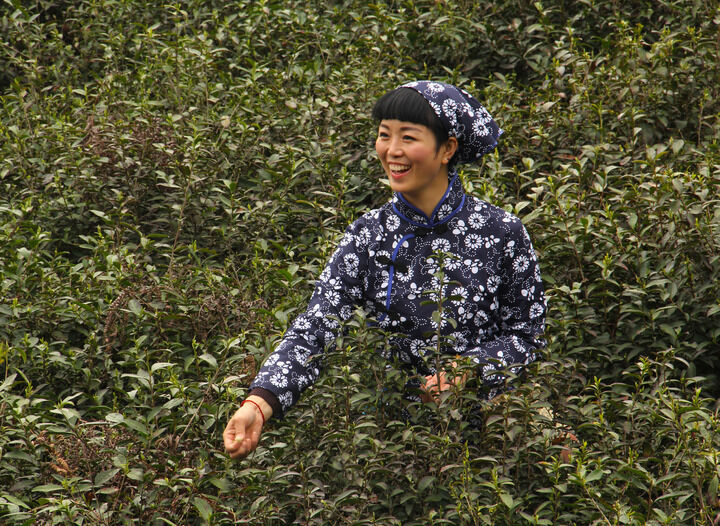 红磨坊暗影